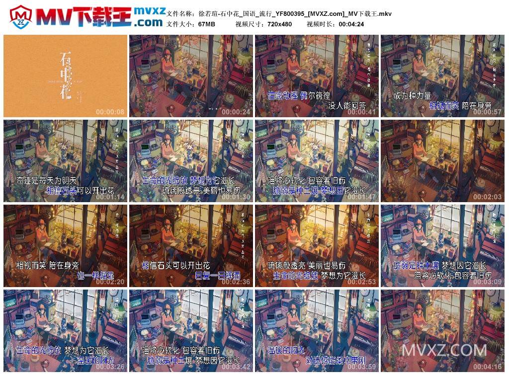 徐若瑄-石中花_国语_流行_YF800395